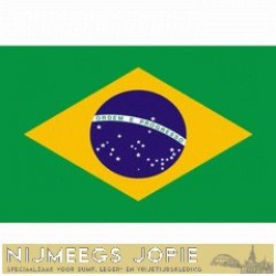 brazilie, vlag brazilie, vlag