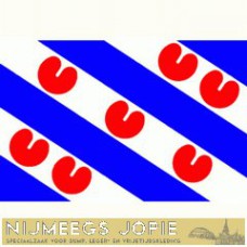 friesland, vlag