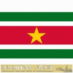 suriname, vlag suriname, vlag