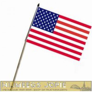 vlag op stokje amerika