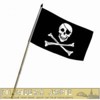 vlag op stokje piraat
