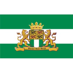 rotterdam met leeuw, vlag rotterdam met leeuw, vlag