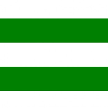 rotterdam groen wit, vlag