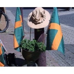 4-daagse vlag klein op stokje (verzending als envelop) 4-daagse vlag klein op stokje (verzending als envelop)