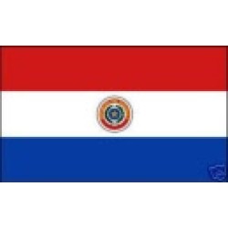 paraguay. Vlag