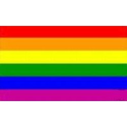 regenboog. vlag extra groot, ca 1,5 x 2,5 meter regenboog. vlag extra groot, ca 1,5 x 2,5 meter