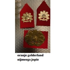 baret embleem oranje gelderland