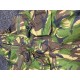 schmock jas mariniers camo, NL-camo nieuwstaat